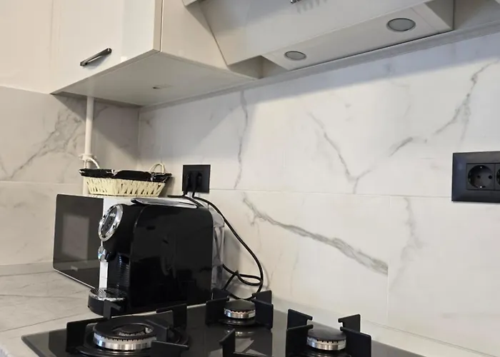 Ricky Endless Summer - Alezzi Infinity * Navodari